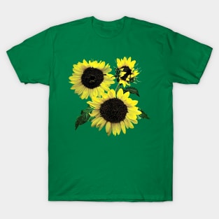 Three Sunflowers T-Shirt